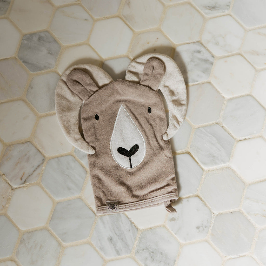 Critter Mitt Washcloth